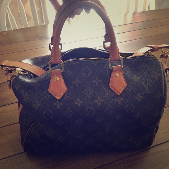 Louis Vuitton Handbags - Louis Vuitton Speedy 30 Bag